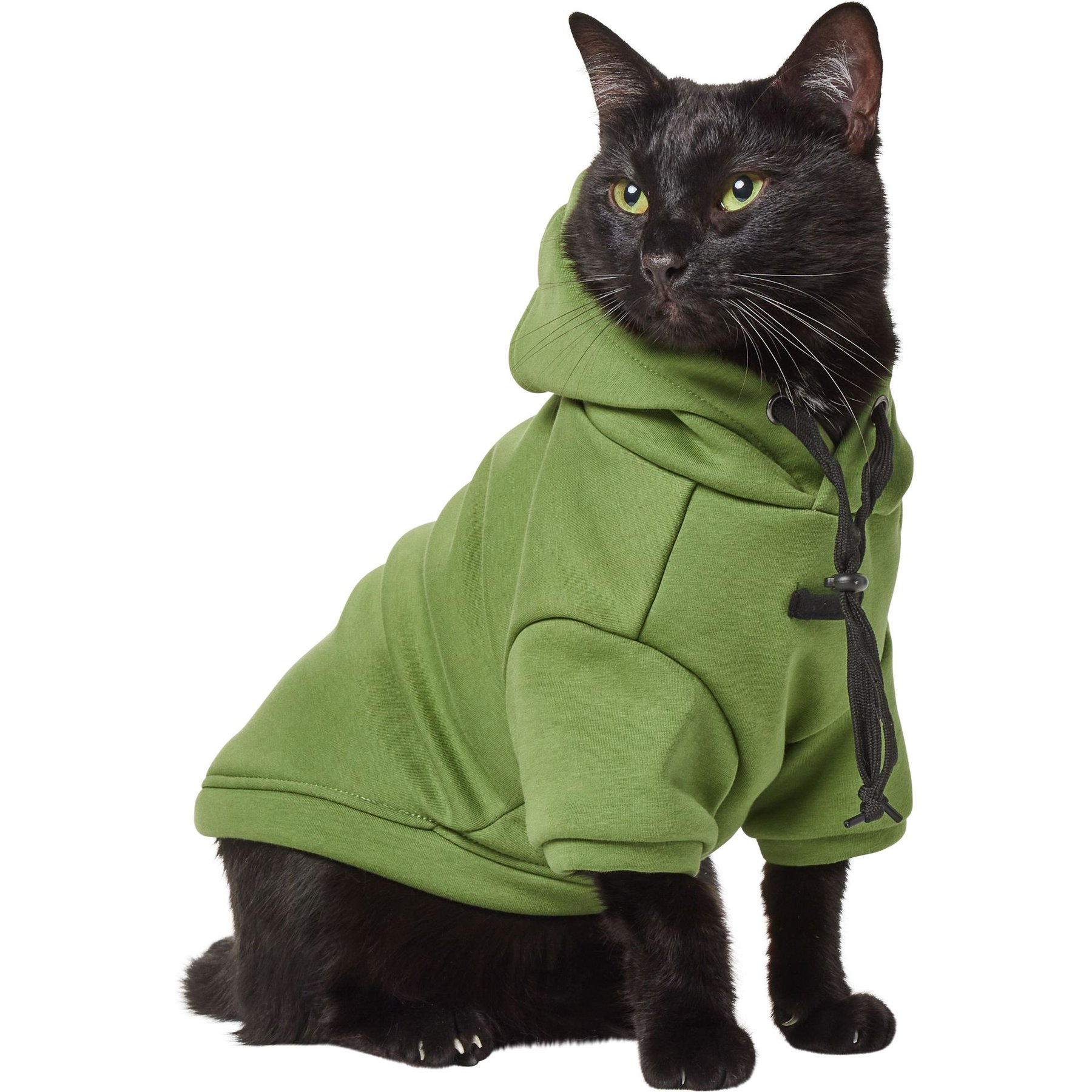 Frisco Luxe Drawstring Dog & Cat Sweatshirt Hoodie, Green, Small