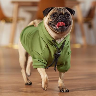Show full view: Frisco Luxe Drawstring Dog & Cat Sweatshirt Hoodie, Green, Small slide 9 of 13