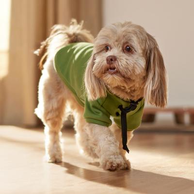 Show full view: Frisco Luxe Drawstring Dog & Cat Sweatshirt Hoodie, Green, X-Small slide 8 of 12