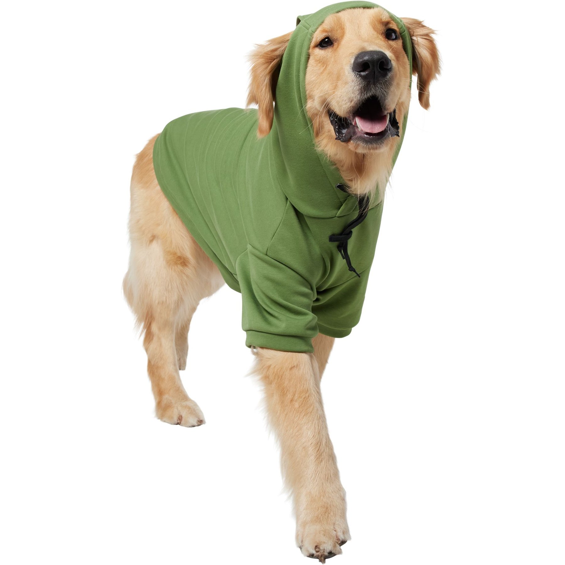 Frisco Luxe Drawstring Dog & Cat Sweatshirt Hoodie, Green, XX-Large