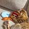 Show in main carousel: Frisco Magic Fortune Teller Plush Cat Toy with Catnip, 2 count slide 4 of 6