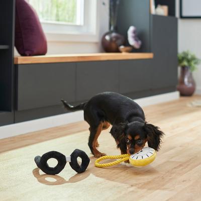 Show full view: Frisco Magic Pocket Watch & Glasses Plush Squeaky Dog Toy, 2 count slide 3 of 5