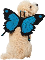 Frisco Magical Butterfly Wings Dog & Cat Costume Accessory, Medium/Large