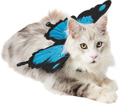 Frisco Magical Butterfly Wings Dog & Cat Costume Accessory, X-Small/Small