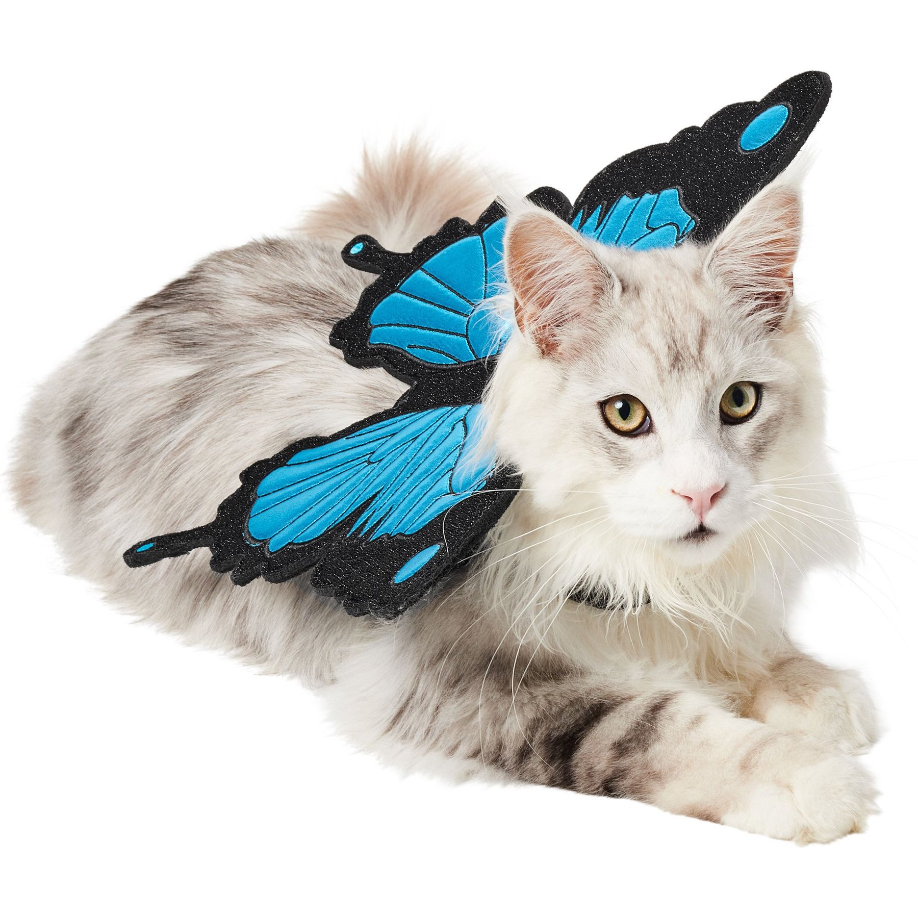 Frisco Magical Butterfly Wings Dog & Cat Costume Accessory, X-Small/Small