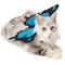 Show in main carousel: Frisco Magical Butterfly Wings Dog & Cat Costume Accessory, X-Small/Small slide 1 of 9