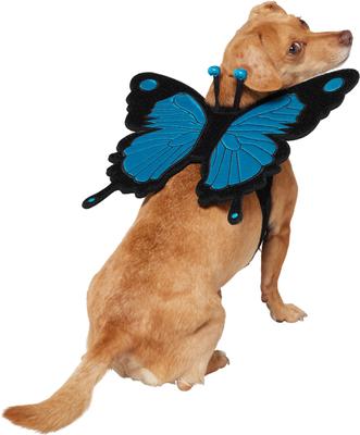 Show full view: Frisco Magical Butterfly Wings Dog & Cat Costume Accessory, X-Small/Small slide 3 of 9