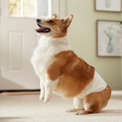 Show full view: Frisco Male Dog Wraps, Medium: 17 to 22-in waist, 50 count slide 6 of 9