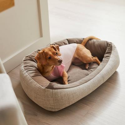 Show full view: Frisco Mama's Girl Dog & Cat T-Shirt, XX-Large slide 5 of 8