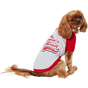 Pets First NFL Dog & Cat T-Shirt