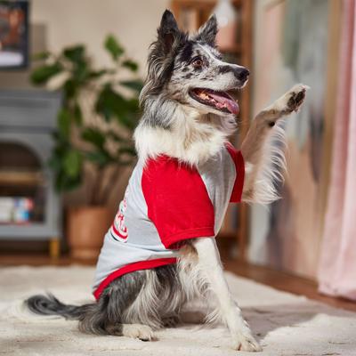 Show full view: Frisco Valentine's Mama's Sweetheart Dog & Cat T-Shirt, X-Large slide 7 of 9