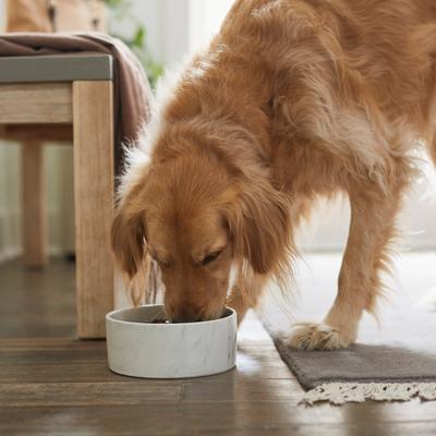Show full view: Frisco Marble Design Non-skid Ceramic Dog & Cat Bowl, Medium: 5 cup, 1 count slide 3 of 8