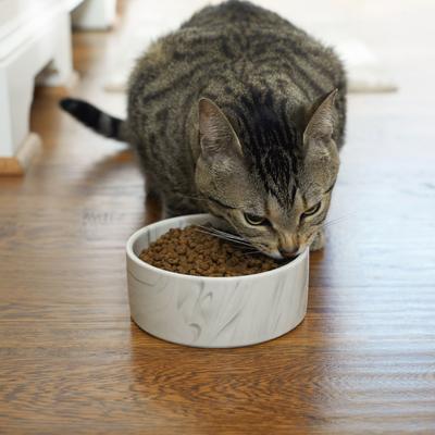 Show full view: Frisco Marble Design Non-skid Ceramic Dog & Cat Bowl, Small: 2 cup, 1 count slide 4 of 9
