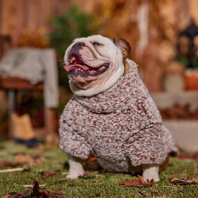 Frisco Medium Weight Double Layer Sherpa Dog Coat with Built in Snood