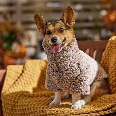 Frisco Medium Weight Double Layer Sherpa Dog Coat with Built in Snood
