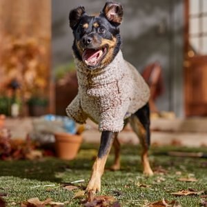 Frisco Medium Weight Double Layer Sherpa Dog Coat with Built in Snood, X-Large