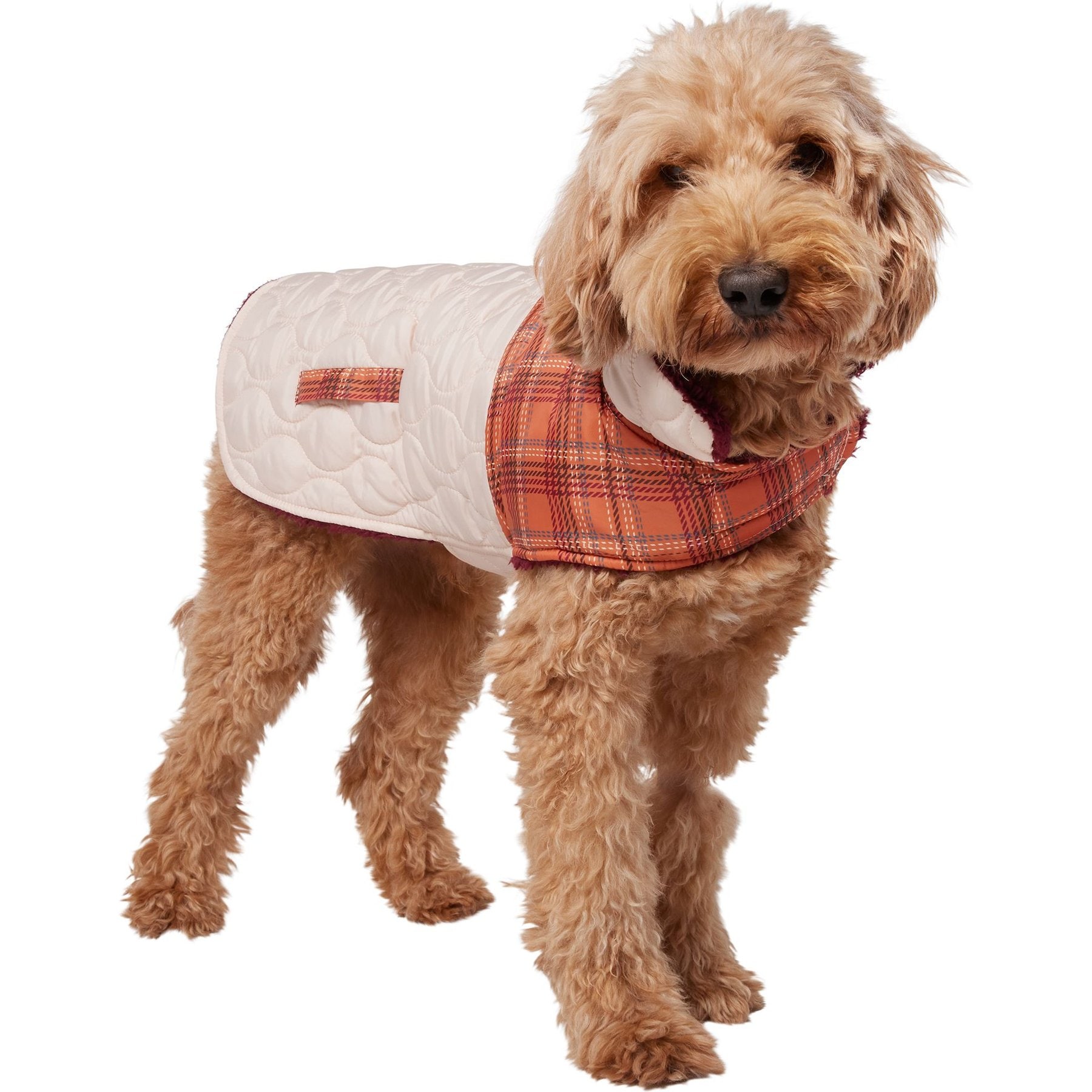 Frisco Medium Weight Fall Plaid Dog & Cat Coat, Large