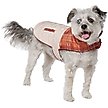 Show in main carousel: Frisco Medium Weight Fall Plaid Dog & Cat Coat, Medium slide 1 of 10