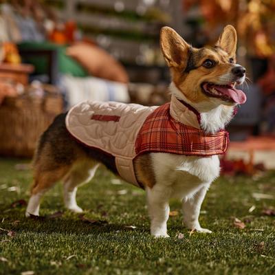 Show full view: Frisco Medium Weight Fall Plaid Dog & Cat Coat, Medium slide 8 of 10