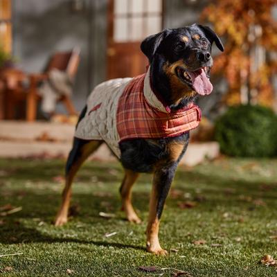 Show full view: Frisco Medium Weight Fall Plaid Dog & Cat Coat, X-Large slide 7 of 9