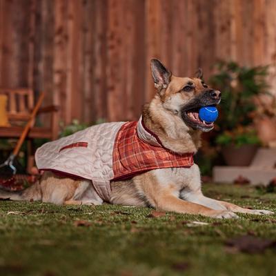 Show full view: Frisco Medium Weight Fall Plaid Dog & Cat Coat, XX-Large slide 7 of 9