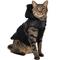 Show in main carousel: Frisco Medium Weight Faux Leather Dog & Cat Parka with Faux Fur Trimmed Hood, Black, Medium slide 3 of 9