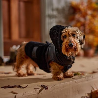 Show full view: Frisco Medium Weight Faux Leather Dog & Cat Parka with Faux Fur Trimmed Hood, Black, Small slide 7 of 9