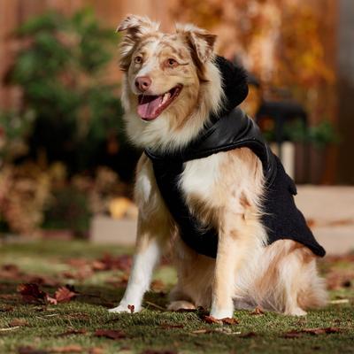 Show full view: Frisco Medium Weight Faux Leather Dog & Cat Parka with Faux Fur Trimmed Hood, Black, XX-Large slide 6 of 8