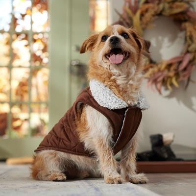 Show full view: Frisco Medium Weight Quilted Dog & Cat Coat with Cozy Sherpa Lining, Large slide 7 of 9
