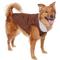 Show in main carousel: Frisco Medium Weight Quilted Dog & Cat Coat with Cozy Sherpa Lining, X-Large slide 1 of 9