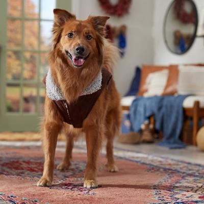 Show full view: Frisco Medium Weight Quilted Dog & Cat Coat with Cozy Sherpa Lining, X-Large slide 7 of 9