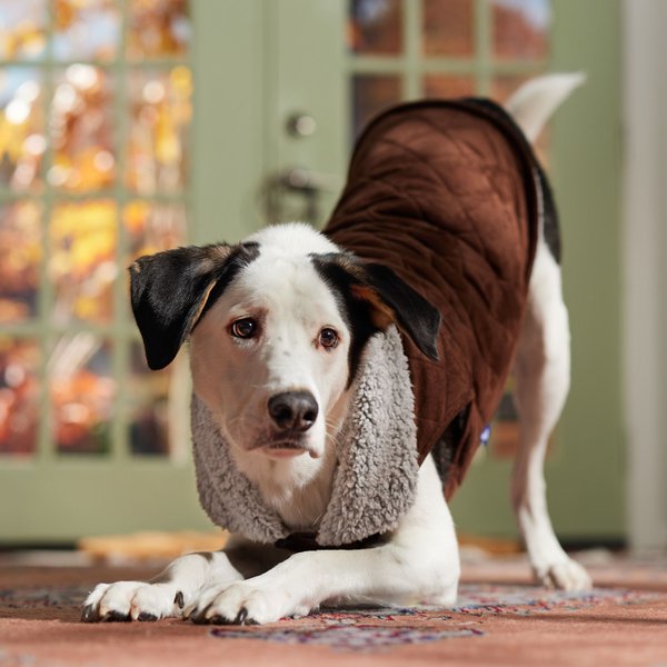 Show full view: Frisco Medium Weight Quilted Dog & Cat Coat with Cozy Sherpa Lining, XX-Large slide 7 of 9