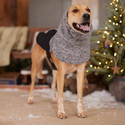 Show full view: Frisco Medium Weight Quilted Dog Coat with brushed Fleece Snood, Black, X-Large slide 7 of 10