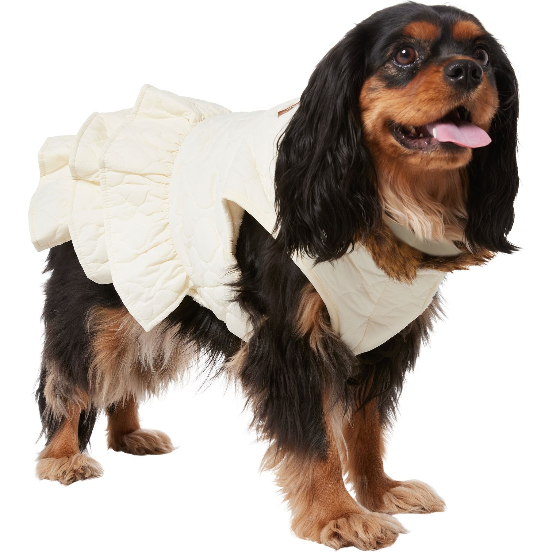 Frisco Medium Weight Quilted Ruffle Tiered Dog & Cat Dress, Large