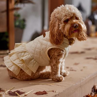 Show full view: Frisco Medium Weight Quilted Ruffle Tiered Dog & Cat Dress, Medium slide 8 of 10