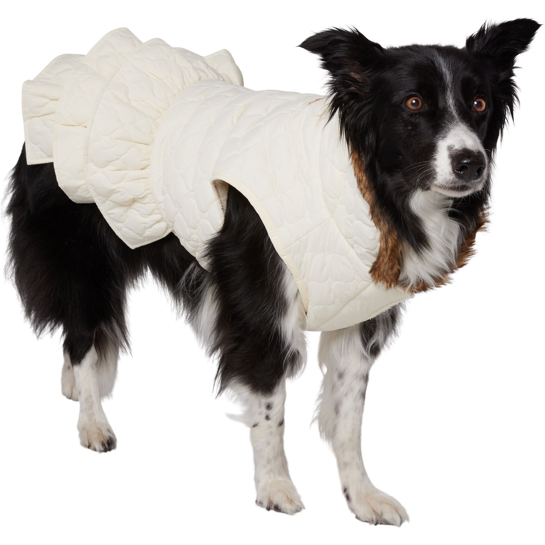 Frisco Medium Weight Quilted Ruffle Tiered Dog & Cat Dress, X-Large