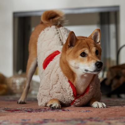 Show full view: Frisco Medium Weight Quilted Sherpa Dog & Cat Faux Zipper Coat, Cream, Medium slide 7 of 9