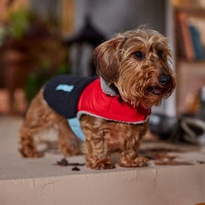 Frisco Medium Weight Retro Colorblock Mixed Media Dog & Cat Coat, Black, Small