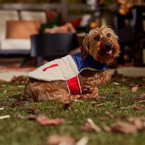 Frisco Medium Weight Retro Colorblock Mixed Media Dog & Cat Coat, Cream, Small