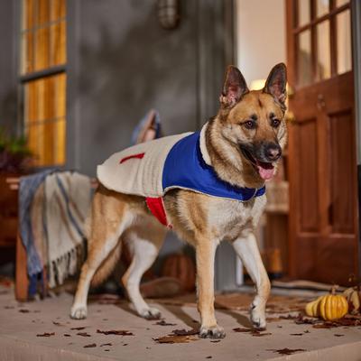 Show full view: Frisco Medium Weight Retro Colorblock Mixed Media Dog & Cat Coat, Cream, XX-Large slide 7 of 9