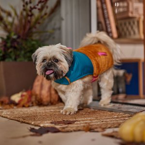 Frisco Medium Weight Retro Colorblock Mixed Media Dog & Cat Coat, Tan, Medium
