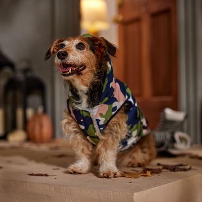 Show full view: Frisco Medium Weight Urban City Camo Printed Dog & Cat Hooded Coat, Large slide 7 of 9