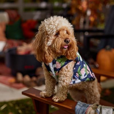 Show full view: Frisco Medium Weight Urban City Camo Printed Dog & Cat Hooded Coat, Medium slide 8 of 10