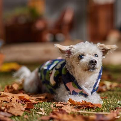 Show full view: Frisco Medium Weight Urban City Camo Printed Dog & Cat Hooded Coat, Small slide 8 of 10