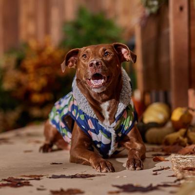 Show full view: Frisco Medium Weight Urban City Camo Printed Dog & Cat Hooded Coat, X-Large slide 7 of 9