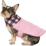 Best Goldendoodle Puppy Apparel