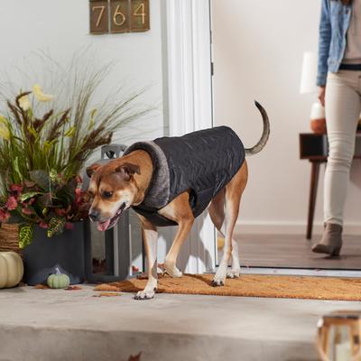 Show full view: Frisco Mediumweight Chevron Insulated Quilted Dog & Cat Coat, Black, Medium slide 6 of 7