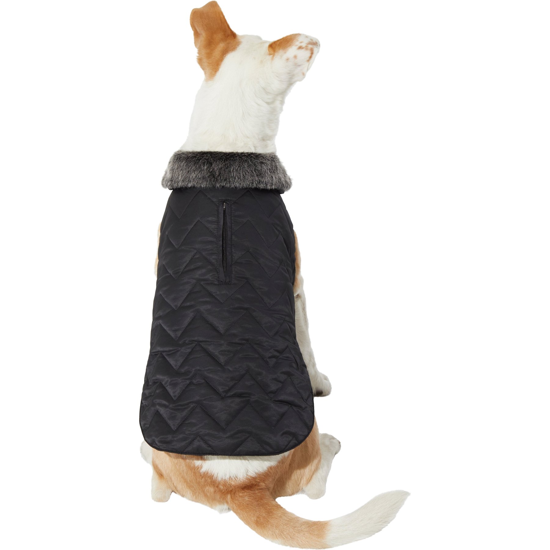Frisco Mediumweight Chevron Insulated Quilted Dog & Cat Coat, Black, XX-Large