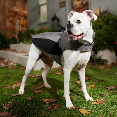 Show full view: Frisco Mediumweight Faux Zipper Dog & Cat Jacket, Medium slide 7 of 10