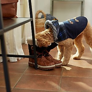 Frisco Mediumweight Plaid Hooded Insulated Dog & Cat Peacoat, Navy, XX-Large